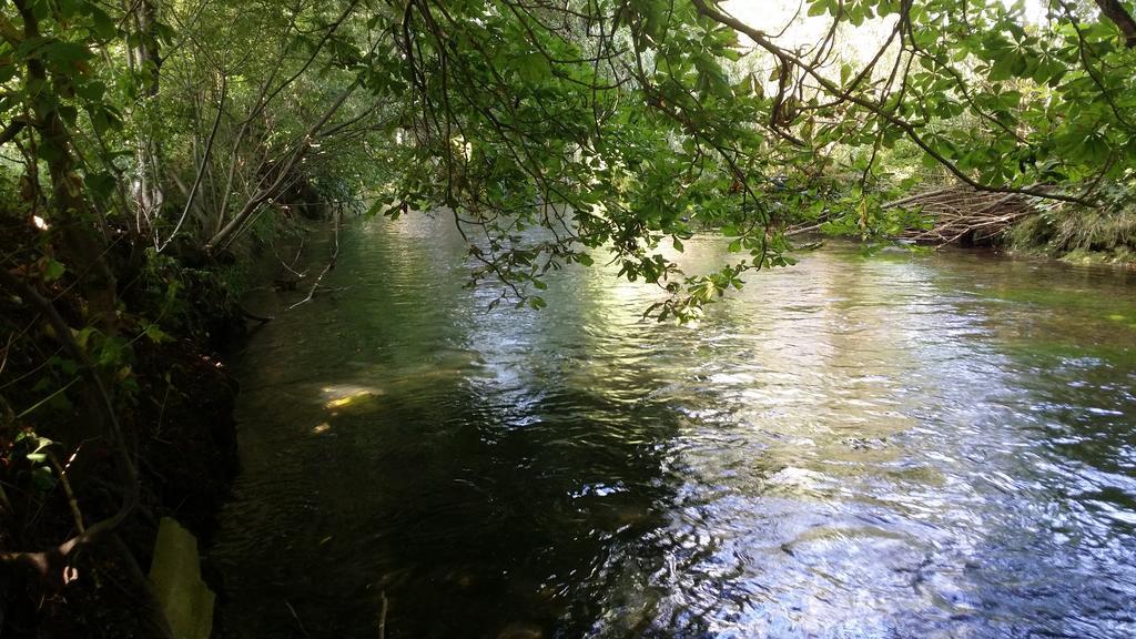 Wiflinger Graben Einfamilienhaus Villa Wörth Exteriör bild