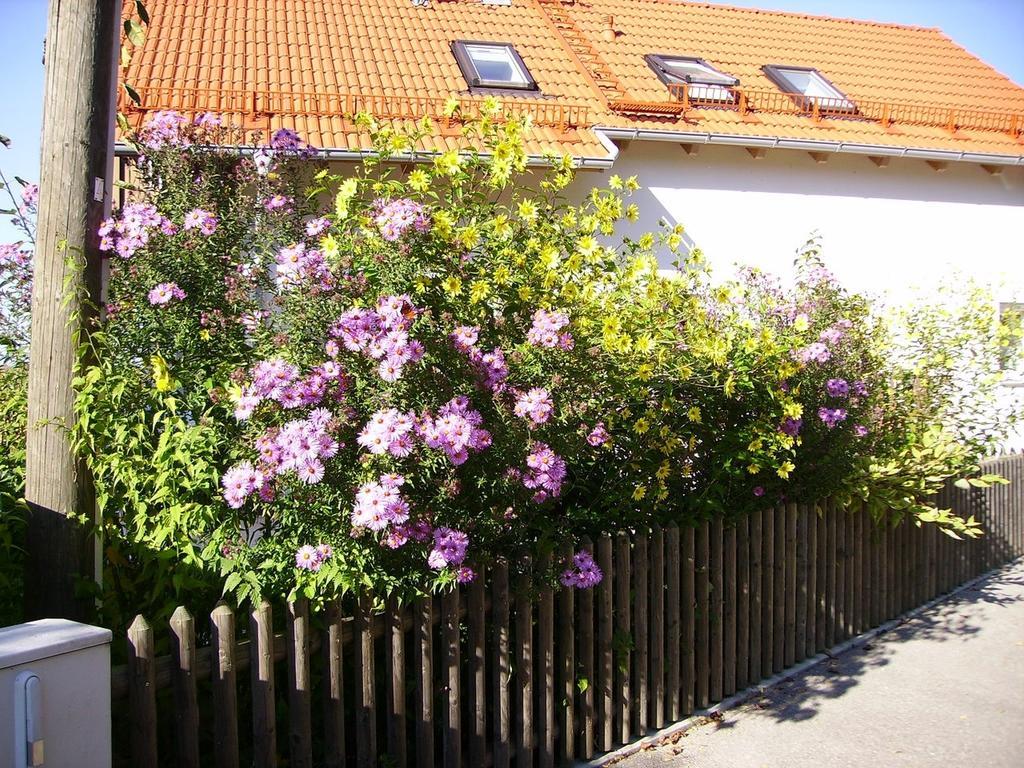 Wiflinger Graben Einfamilienhaus Villa Wörth Exteriör bild