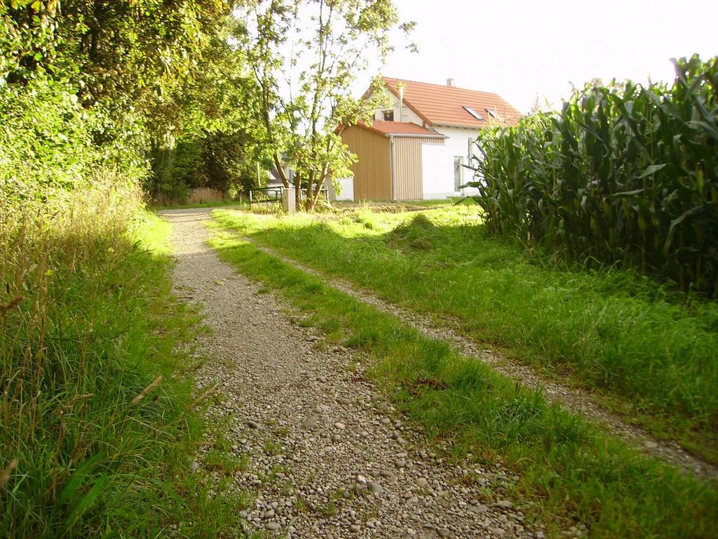 Wiflinger Graben Einfamilienhaus Villa Wörth Exteriör bild